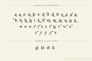 Molagane | Fancy Serif Typeface, a Serif Font by Qaratype (Thumbnail 25 of 26)