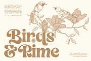 Ligaflow - Classy Fresh Retro Serif, a Serif Font by roomspace creative lab (Thumbnail 6 of 14)