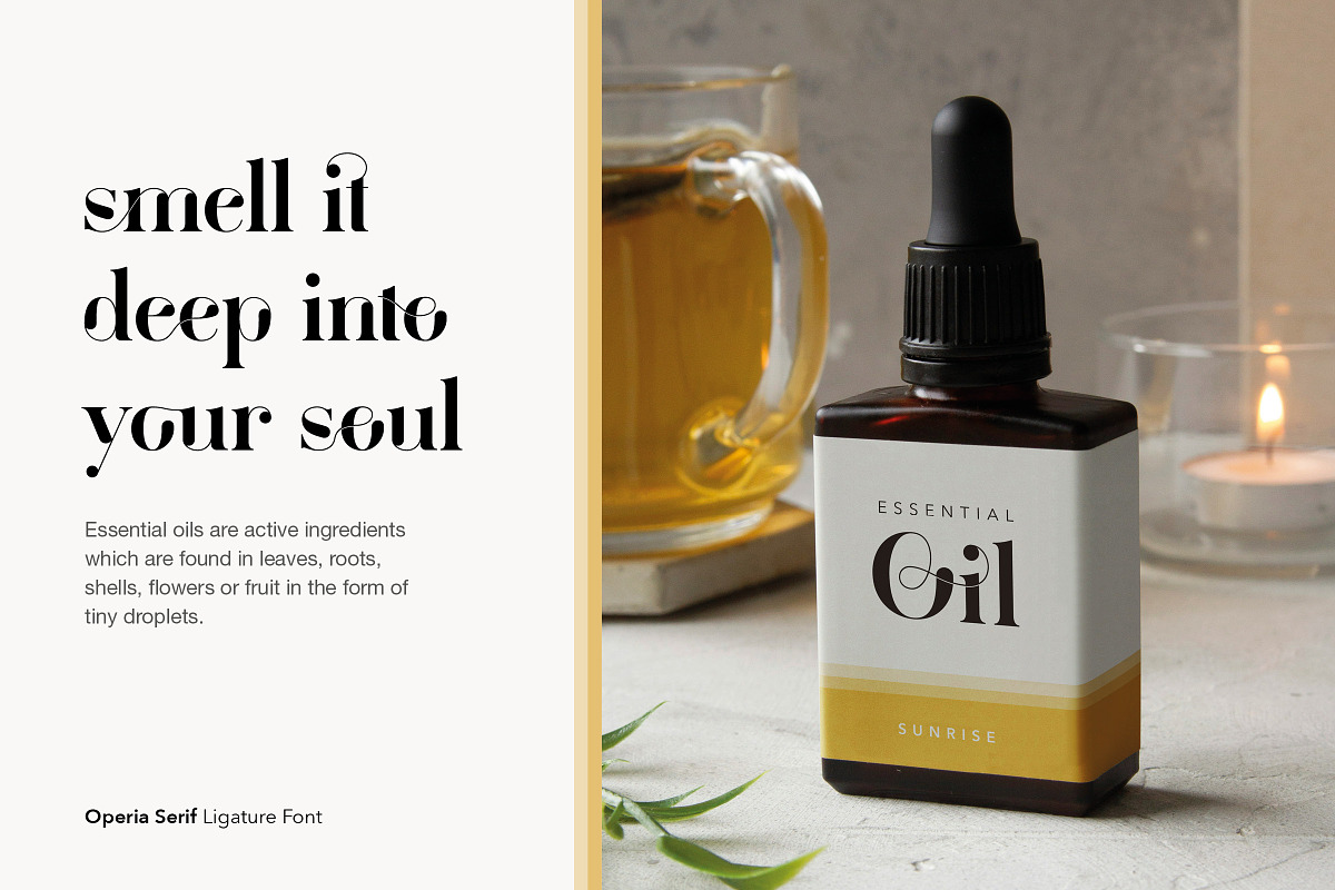 Operia – Serif Ligature Font, a Font by Monogram World (Photo 3 of 20)