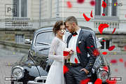 RED Rose Petals photo overlays, an Object Graphic by 2SUNS (Thumbnail 8 of 10)