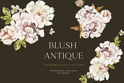 -20% Blush Antique Floral collection, an Illustration by Grace Noboa Illustrations (Thumbnail 1 of 8)