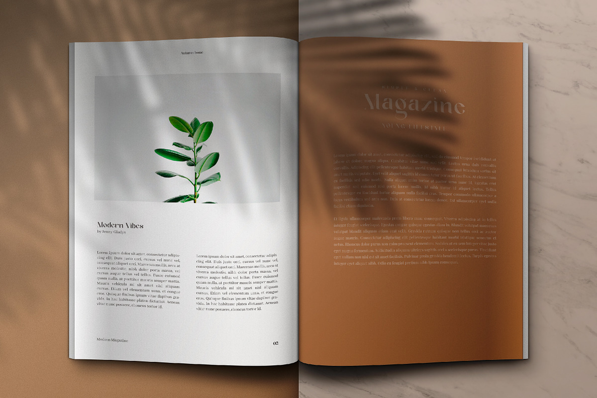 Geyster Modern/Vintage Font, a Serif Font by Lettertype Studio (Photo 5 of 10)