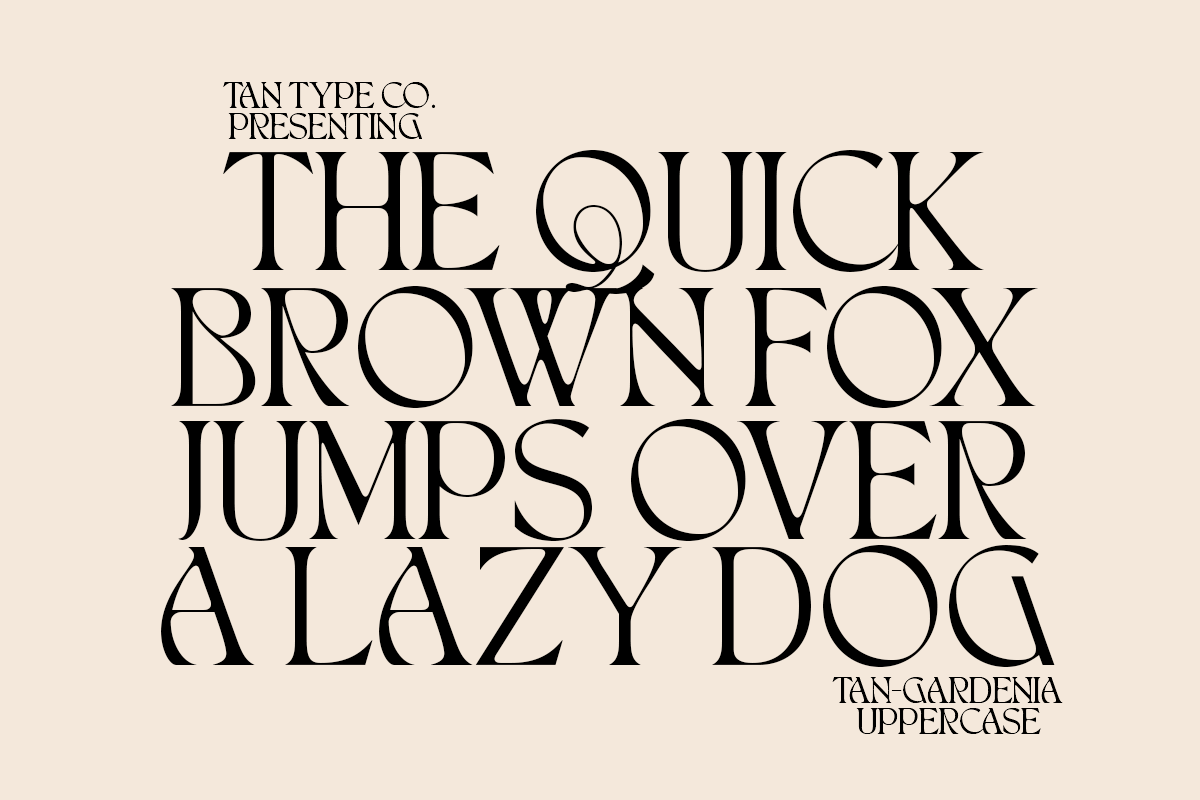 TAN - GARDENIA, a Font by TanType (Photo 7 of 21)