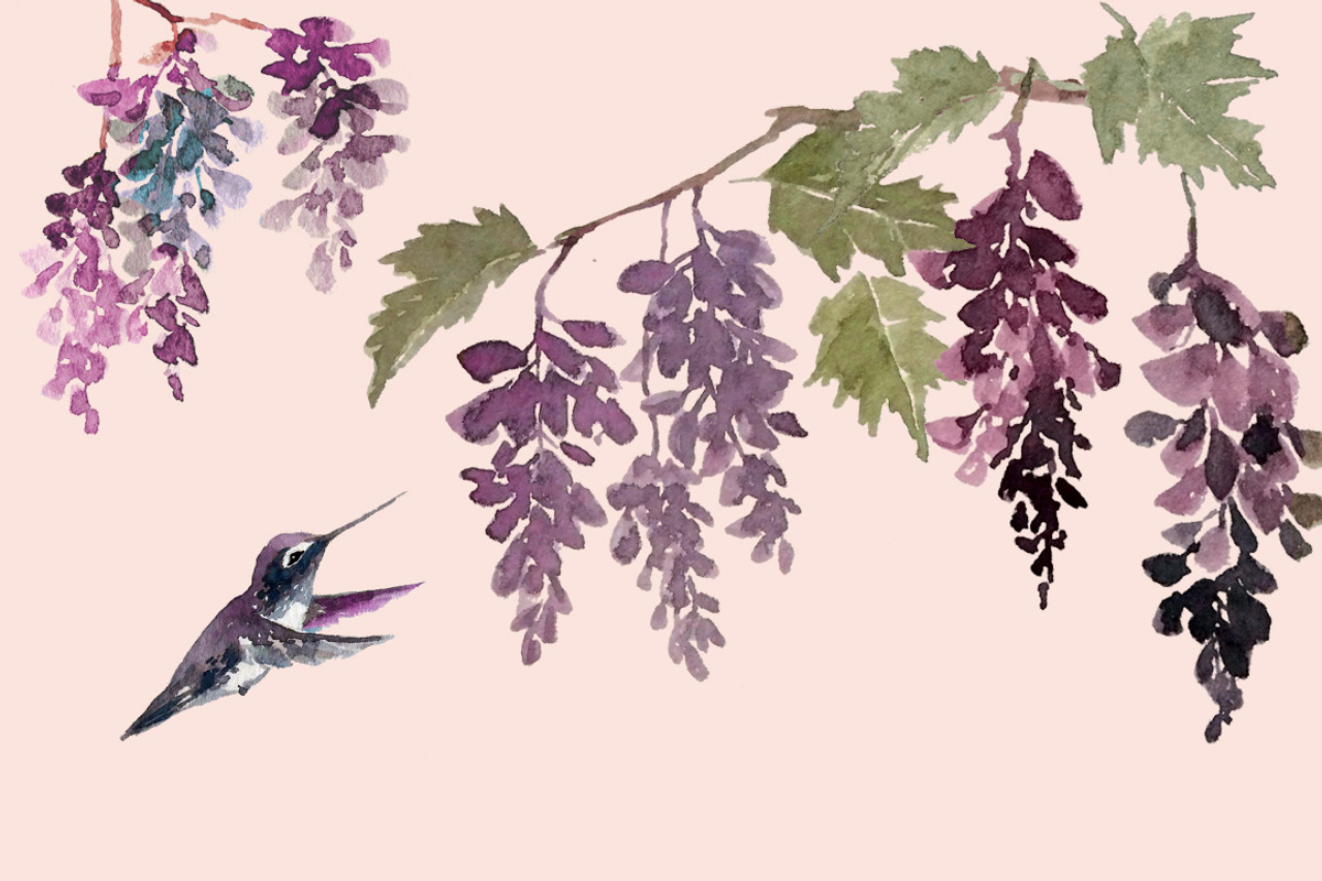 Hummingbird Gardens - Watercolor Set, an Illustration by amyxbao (Photo 3 of 8)