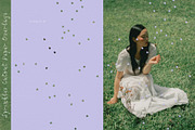 Sprinkles - Cutout Paper Overlays, a Texture Graphic by alonahaidash (Thumbnail 6 of 21)