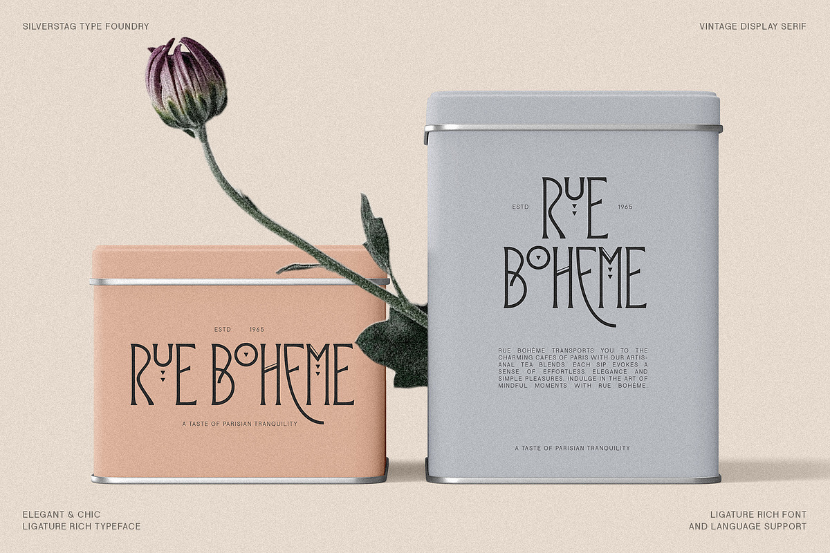Reina Sofia - Vintage Display Serif preview 2