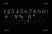 Ondine Modern Luxury Serif Font, a Serif Font by Rasio Studio (Thumbnail 3 of 9)