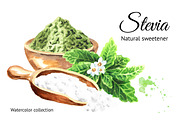 Stevia. Watercolor collection, a Healthcare Illustration by Daria Ustiugova (Thumbnail 1 of 6)