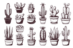 cacti engraving set. hand drawn, an Object Illustration by Stock-Smart-Start