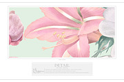 Florenza Botanical Flower Pattern, a Pattern Graphic by Fabrivo (Thumbnail 9 of 10)