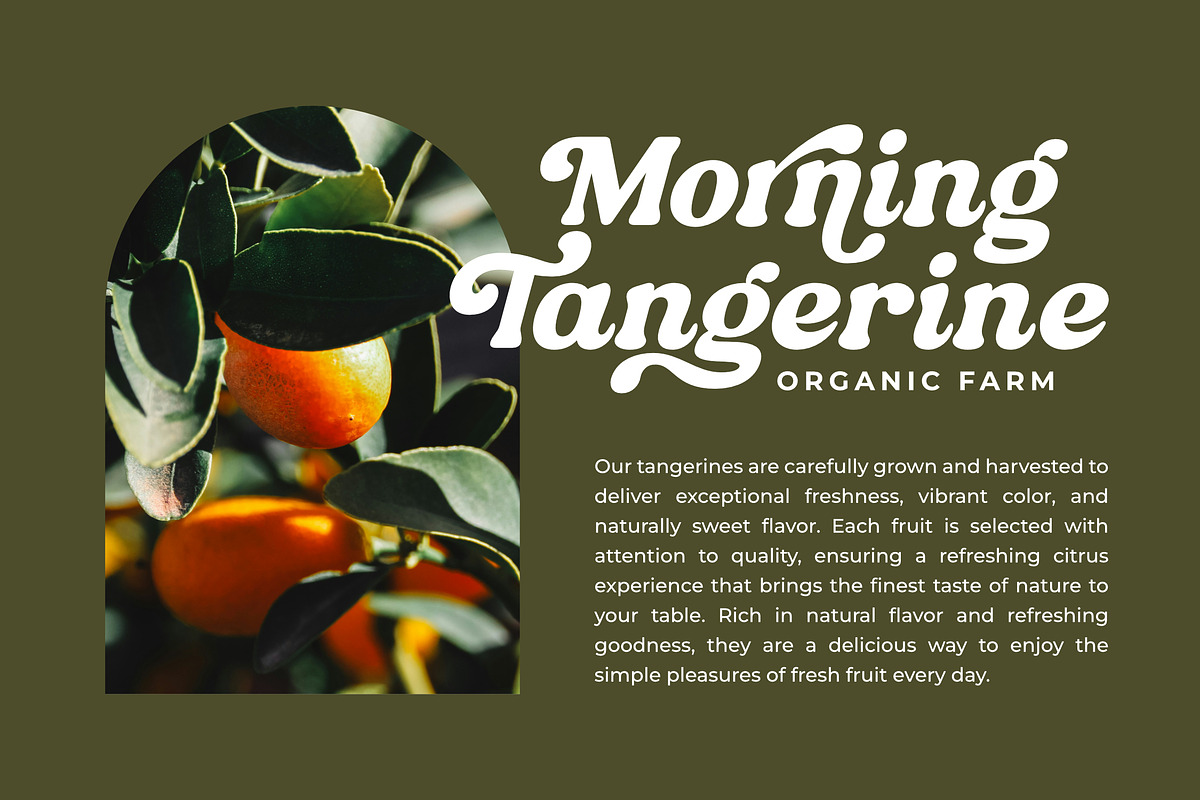 Bremlin - Bold Retro Font - UPDATE!, a Serif Font by Grezline Studio (Photo 16 of 18)