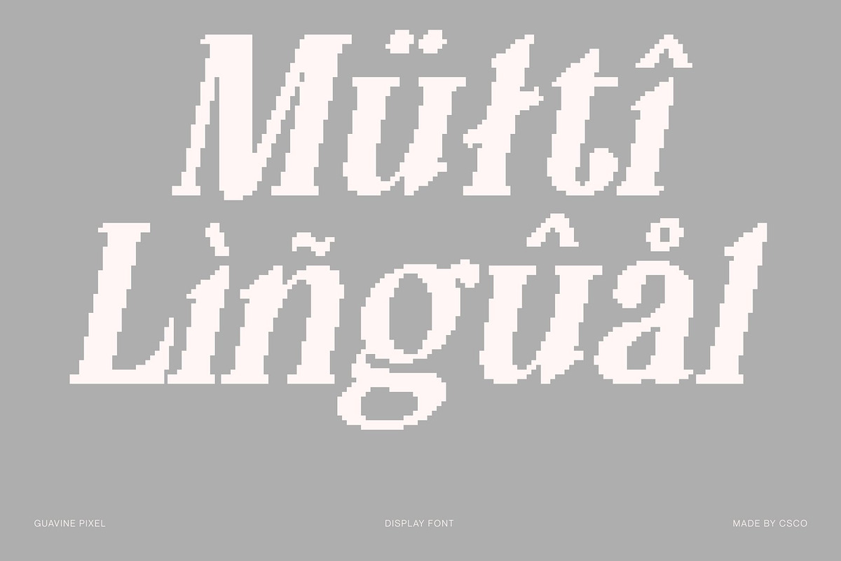 Guavine Pixel, a Serif Font by Craft Supply Co. (Photo 5 of 8)