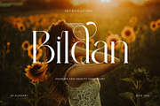 Bildan Modern Ligature Serif, a Serif Font by Alfinart (Thumbnail 1 of 10)