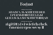 Forind An Elegant Serif Font, a Serif Font by Humaira_std (Thumbnail 9 of 9)
