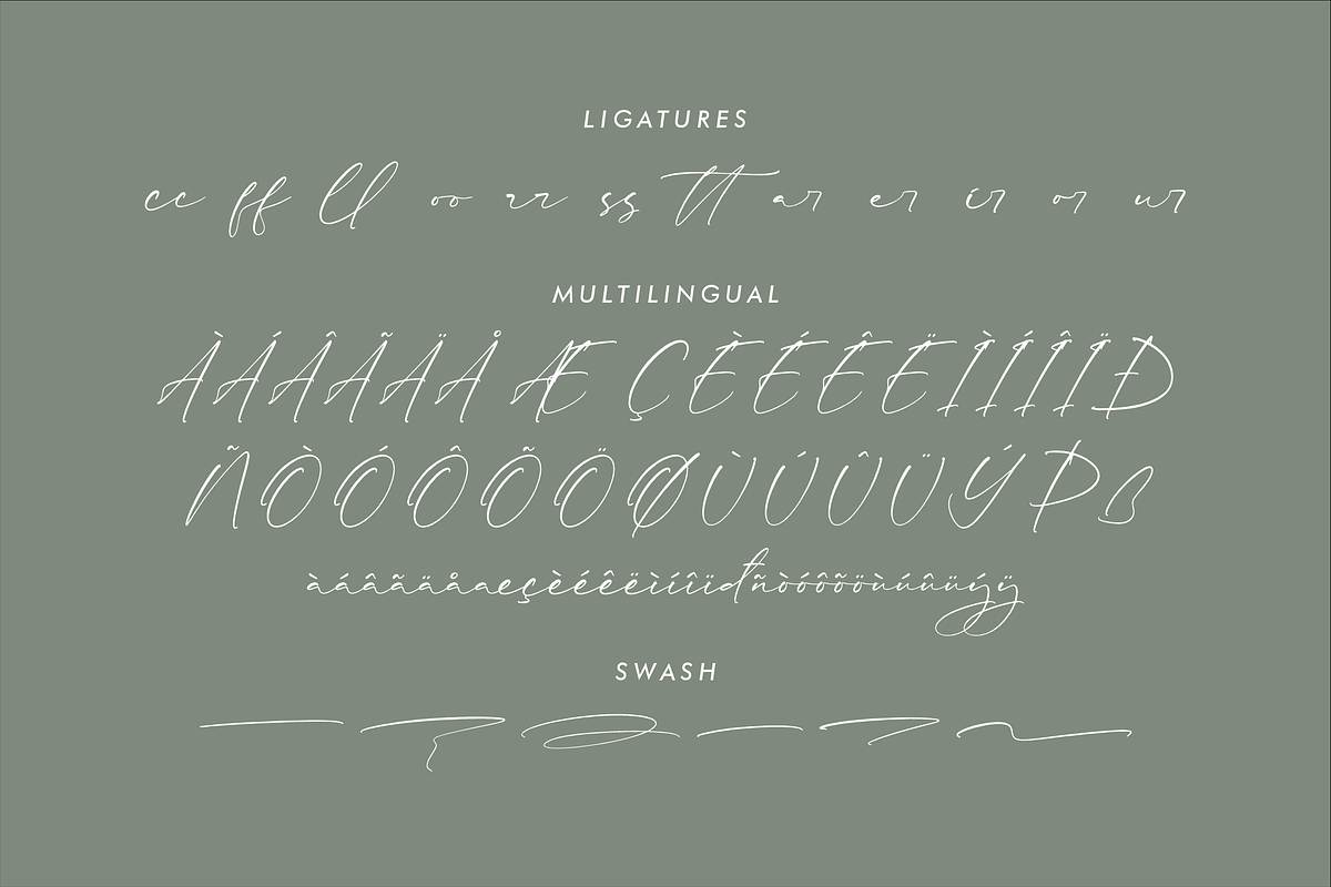 Rhastela Greams Modern Signature, a Script Font by Storytype Studio (Photo 14 of 15)