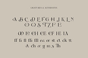 Cigra - Stylist Serif With Ligature, a Sans Serif Font by Identy Studio (Thumbnail 7 of 18)