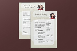 Minimalist CV Resume AI And PSD 14