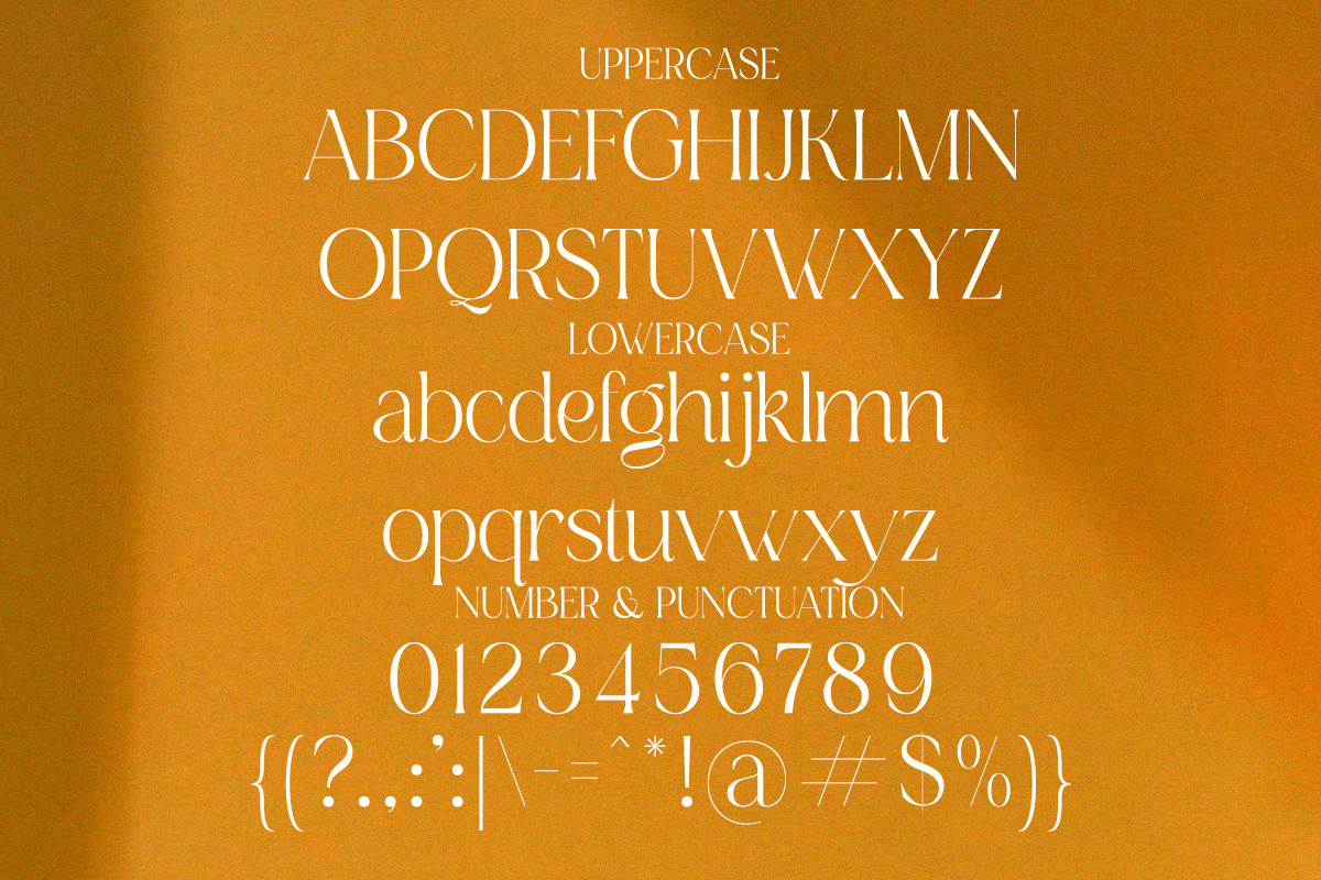 Renea - Modern Minimal Elegant Serif, a Serif Font by Qweera Studio (Photo 9 of 12)