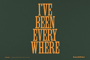 FIREWOOD - A Wood Type Style Font, a Serif Font by Komet & Flicker (Thumbnail 8 of 14)