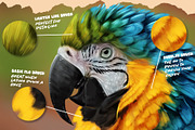 Flo’s Big Procreate Brush Box, a Brush Add-On by ArtwithFlo (Thumbnail 4 of 35)