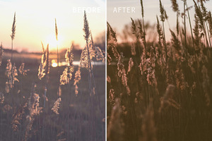 20 Moody Lightroom Presets Pack