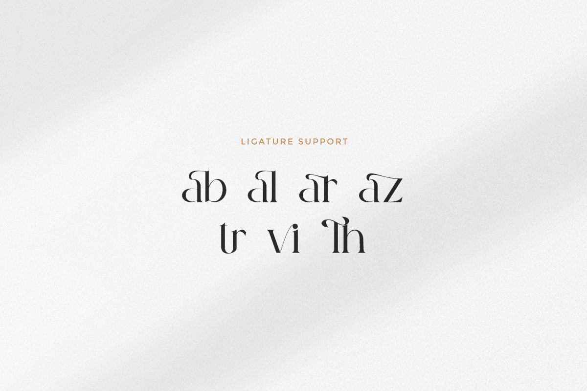 The Devine - Modern Stylish, a Serif Font by RockboyStd (Photo 11 of 12)
