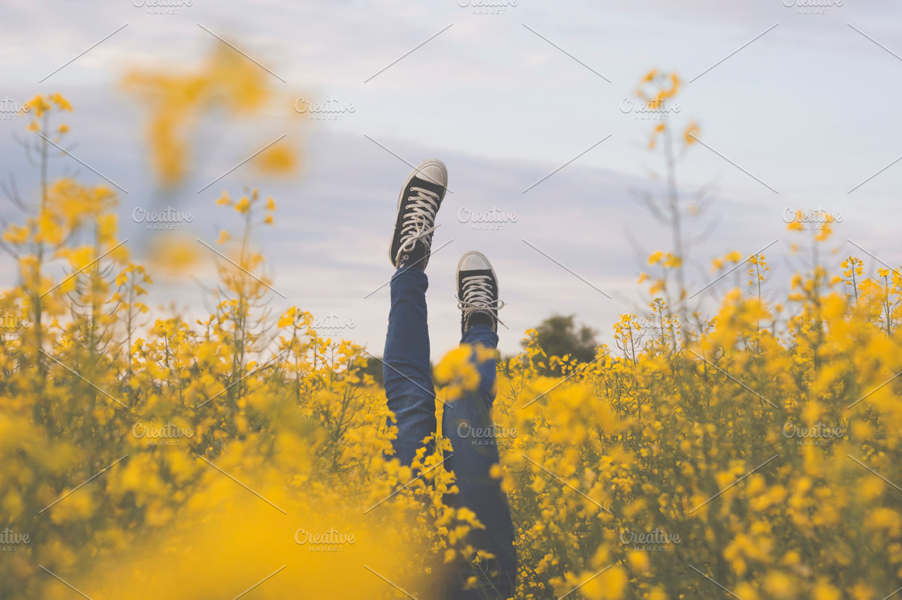 Girl upside down in a rapeseed field, a Nature Photo by Mukuko Studio