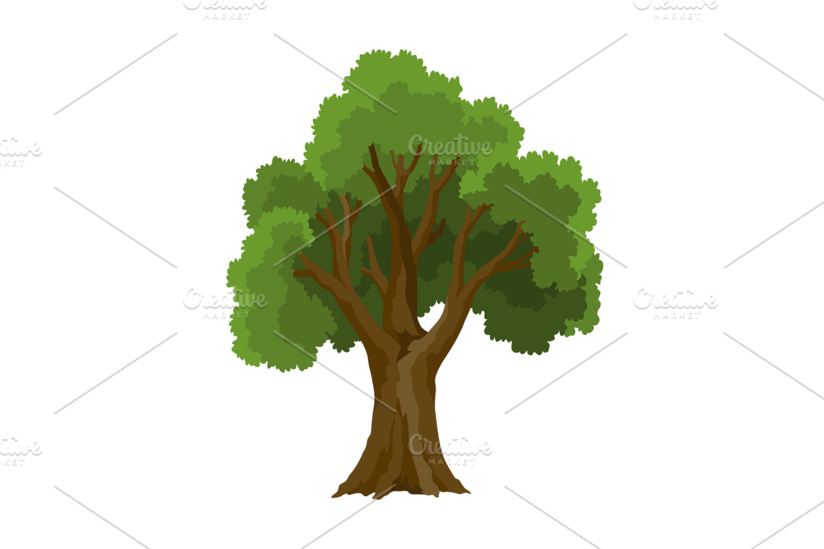 Kind of tree icon . Deciduous, an Object Illustration by Things for designers
