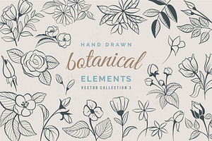 Hand Drawn Botanical Elements