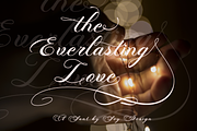 Photograph - Script Wedding Font, a Script Font by FHFont (Thumbnail 6 of 10)