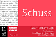 SchussSlabProLight No.11 (1 Font), a Slab Serif Font by typic schuss (Thumbnail 1 of 6)