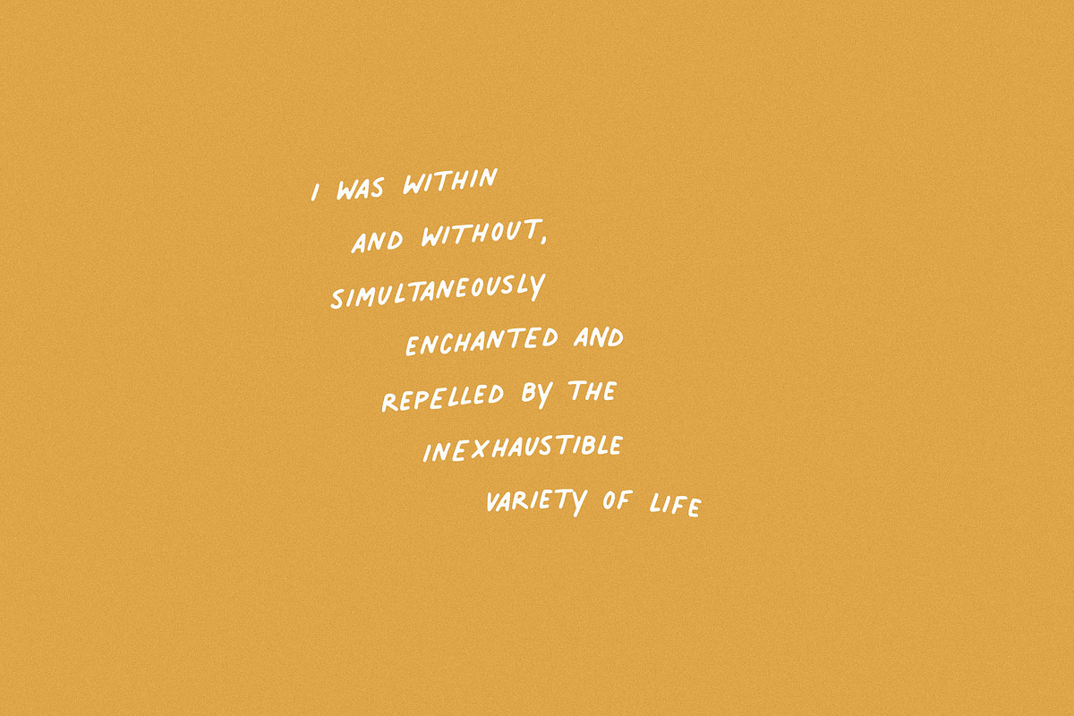 Palmer Lake | A Quotable Font Duo, a Script Font by Jen Wagner Co (Photo 3 of 11)
