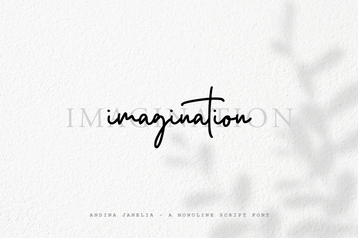 Andina Janelia - Signature Font, a Script Font by RockboyStd (Photo 8 of 12)