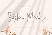 Baster Monky - Monoline Script Font, a Script Font by StringLabs (Thumbnail 1 of 13)
