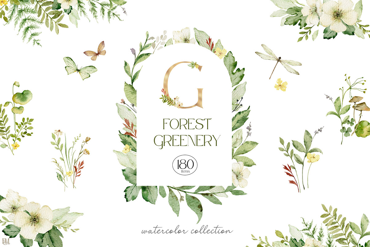 Watercolor set of Forest Greenery, an Illustration by Elena Medvedeva (Photo 1 of 15)