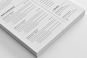 Resume CV (3 page), a Resume Template by Pxl_graphic (Thumbnail 3 of 7)