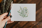HERB BOTANIST watercolor clipart, a Decorative Illustration by Momo Studio (Thumbnail 4 of 15)