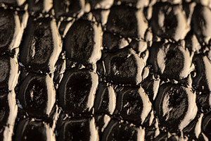imitating crocodile leather for making objects, black polished leather dyed bla, a Photo by rsoollAI