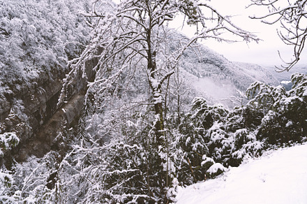 Snowy winter landscape in mountains, a Nature Photo by Elena Dijour Photography