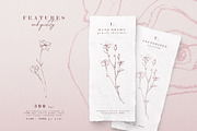 Delicate Roses - Hand Drawn Clipart, a Texture Illustration by Aquarellina (Thumbnail 14 of 15)