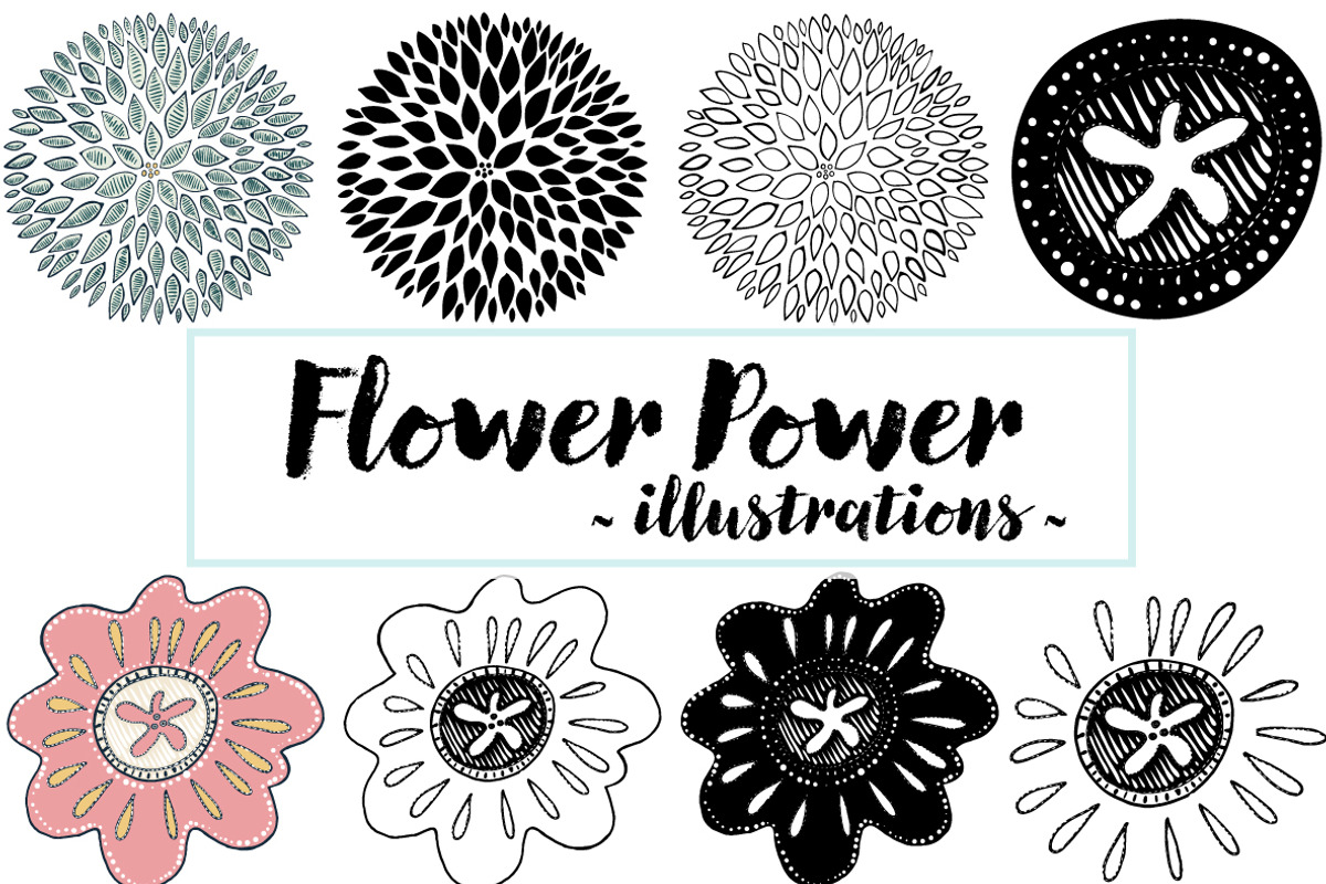 Vector Graphics Bundle, an Animal Illustration by Carrie Stephens Art (Photo 37 of 43)