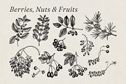 Autumn Leaves and Flowers Vector Set, an Object Graphic by Yevheniia (Thumbnail 7 of 11)