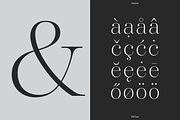 Dupioni Thin - Ligature Serif, a Serif Font by Silktype (Thumbnail 16 of 20)