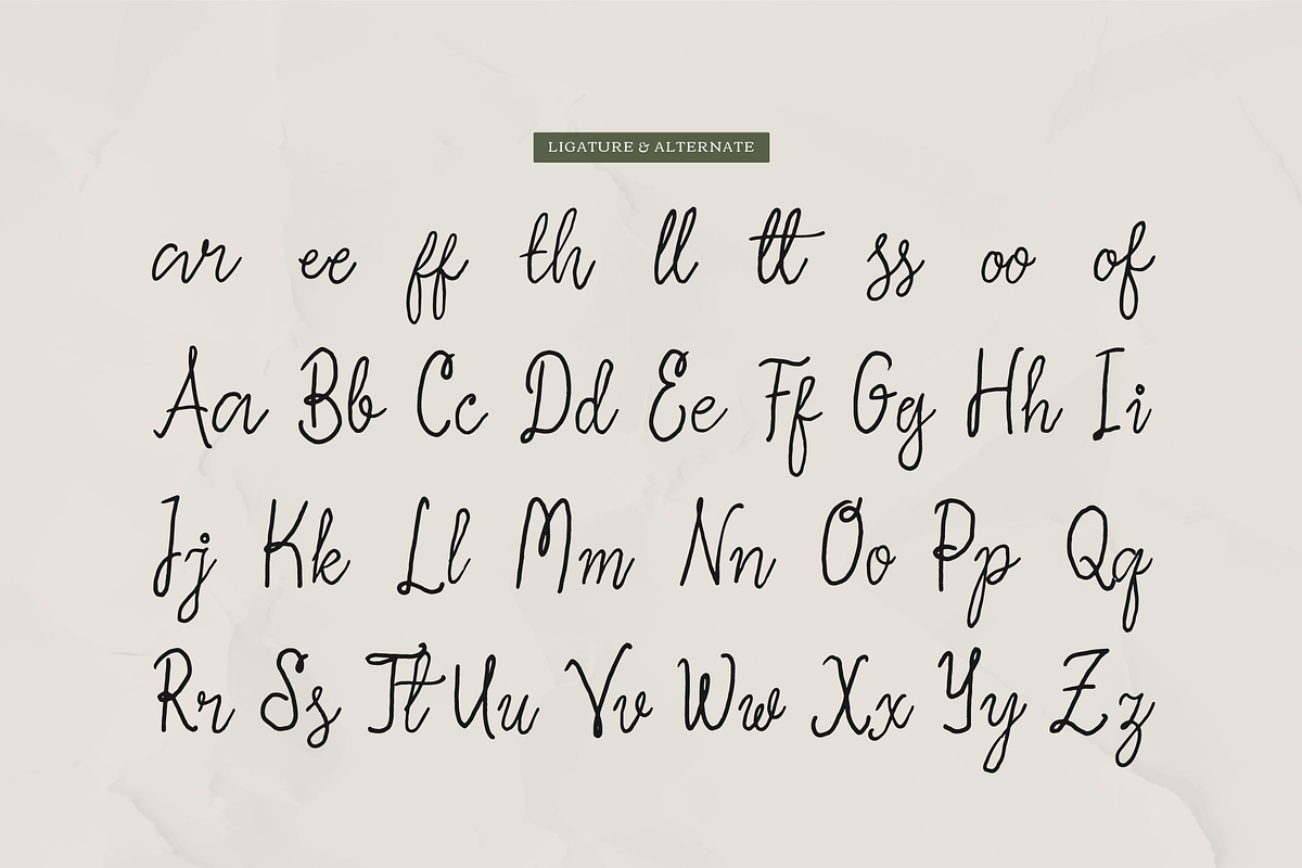 Slushy Nostalgic Vintage Handwritten, a Script Font by Denustudios (Photo 11 of 12)