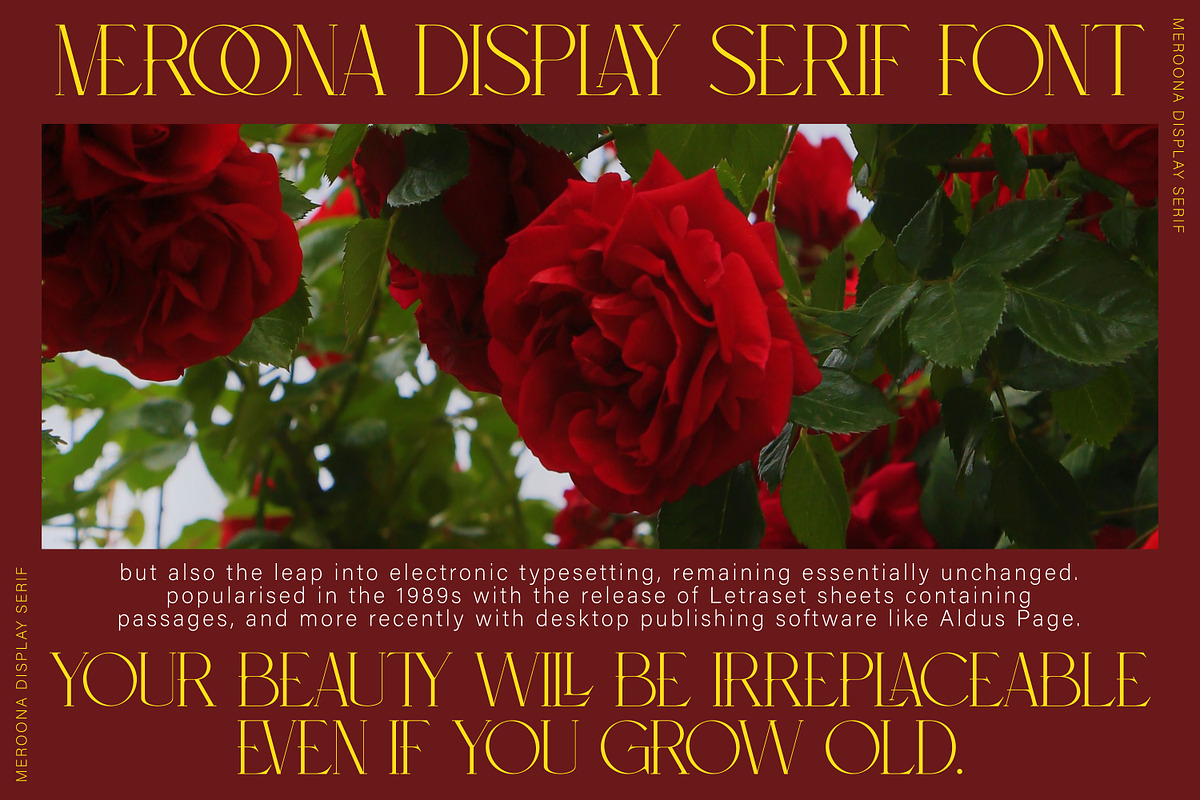 Meroona - Display Serif, a Serif Font by executypeStudio (Photo 6 of 14)