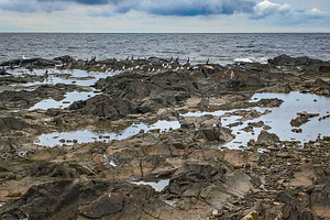 Rocky coastline at low tide, montevideo, uruguay, a Nature Photo by DanFLCreativo