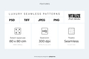 CATPOWER — Luxury Seamless Pattern, a Pattern Graphic by Designnina Shop (Thumbnail 13 of 13)