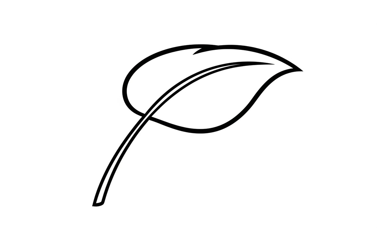 Hand Drawn Leaf Line Art Bundle, an Illustration by hafijul (Photo 23 of 51)