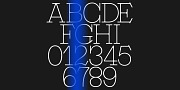 Trabis, a Serif Font by A is for... (Thumbnail 1 of 5)
