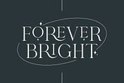 Shanell - Modern & Luxury Serif Font, a Serif Font by Typebae (Thumbnail 7 of 12)